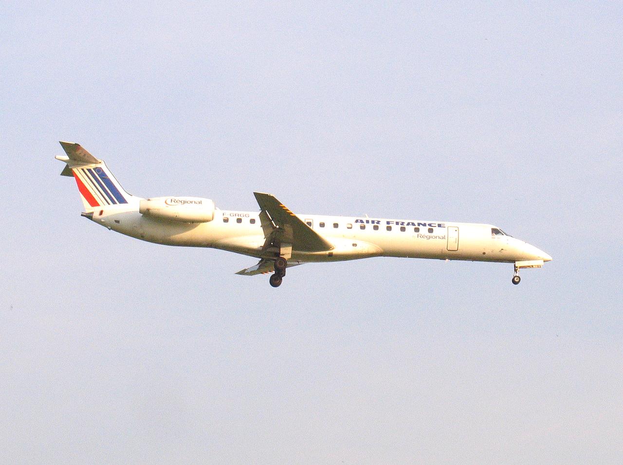 F-GRGG - ERJ-145EU - Air FranceRegional - BRU - 09-06-2006