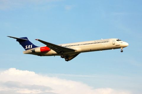 LN-ROZ - MD-87 - SAS Scandinavian Airlines - BRU - 18-06-2006