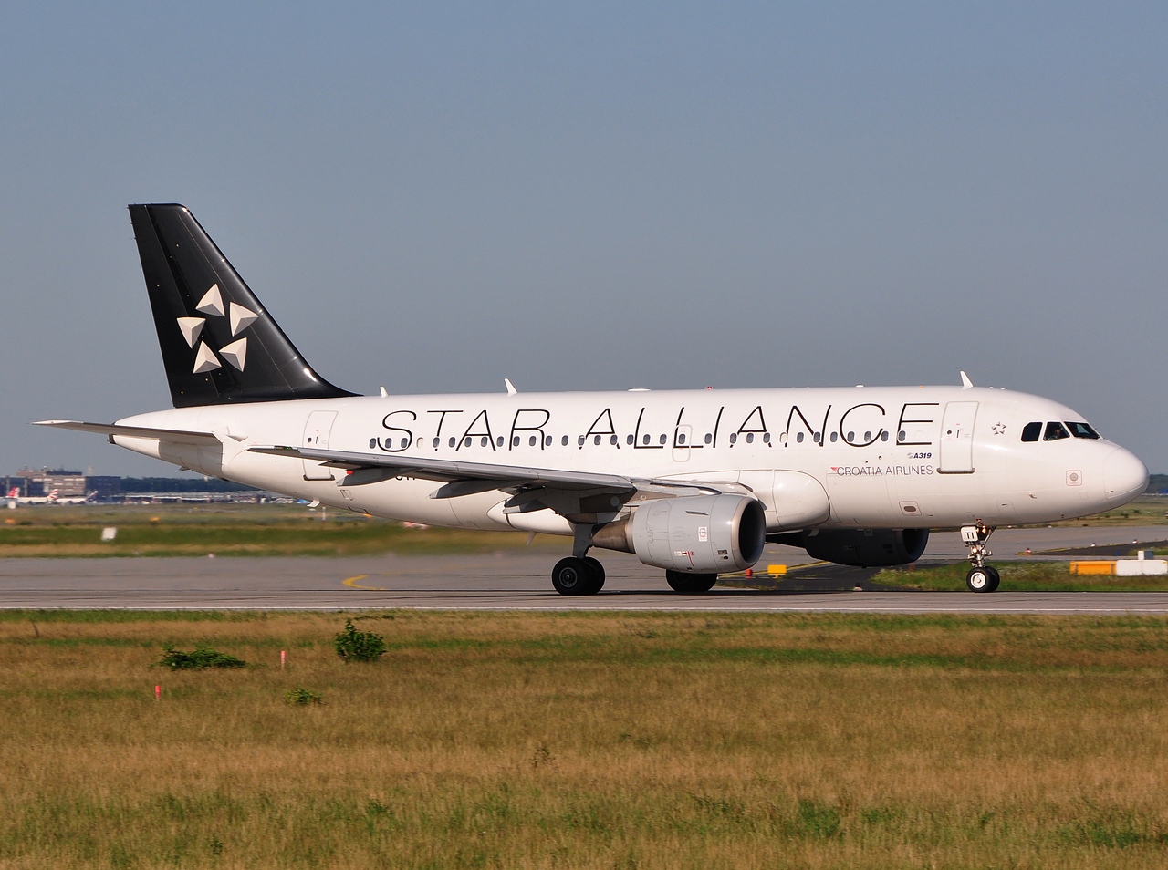 9A-CTI - A319-132 - Croatia Airlines - FRA - 28-06-2007