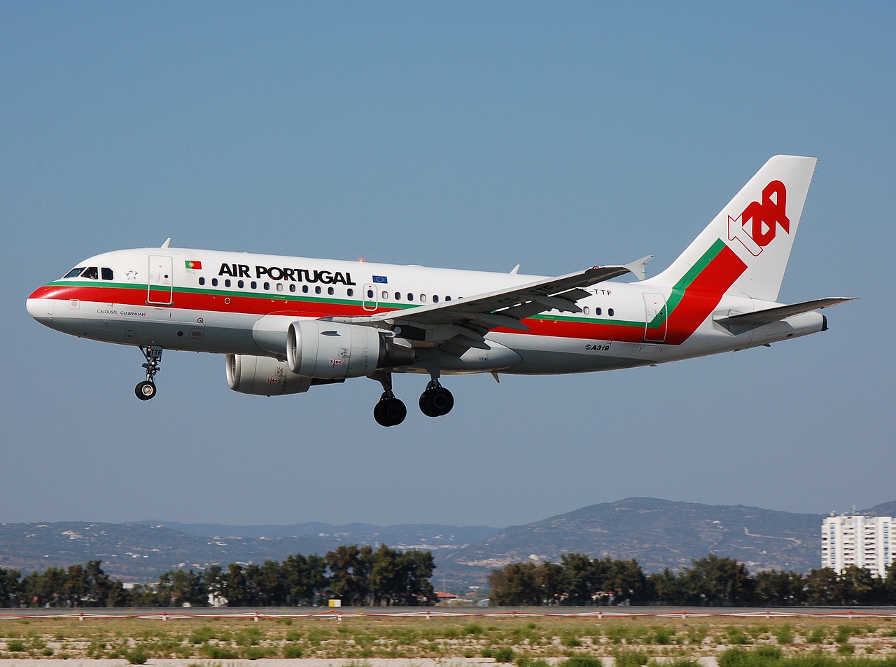 CS-TTF - A319-111 - TAP _ Air Portugal - FAO - 02-09-2007