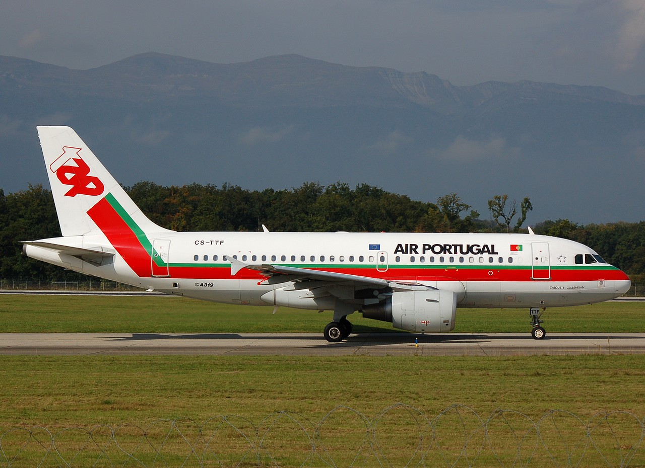 CS-TTF - A319-111 - TAP _ Air Portugal - GVA - 02-10-2007