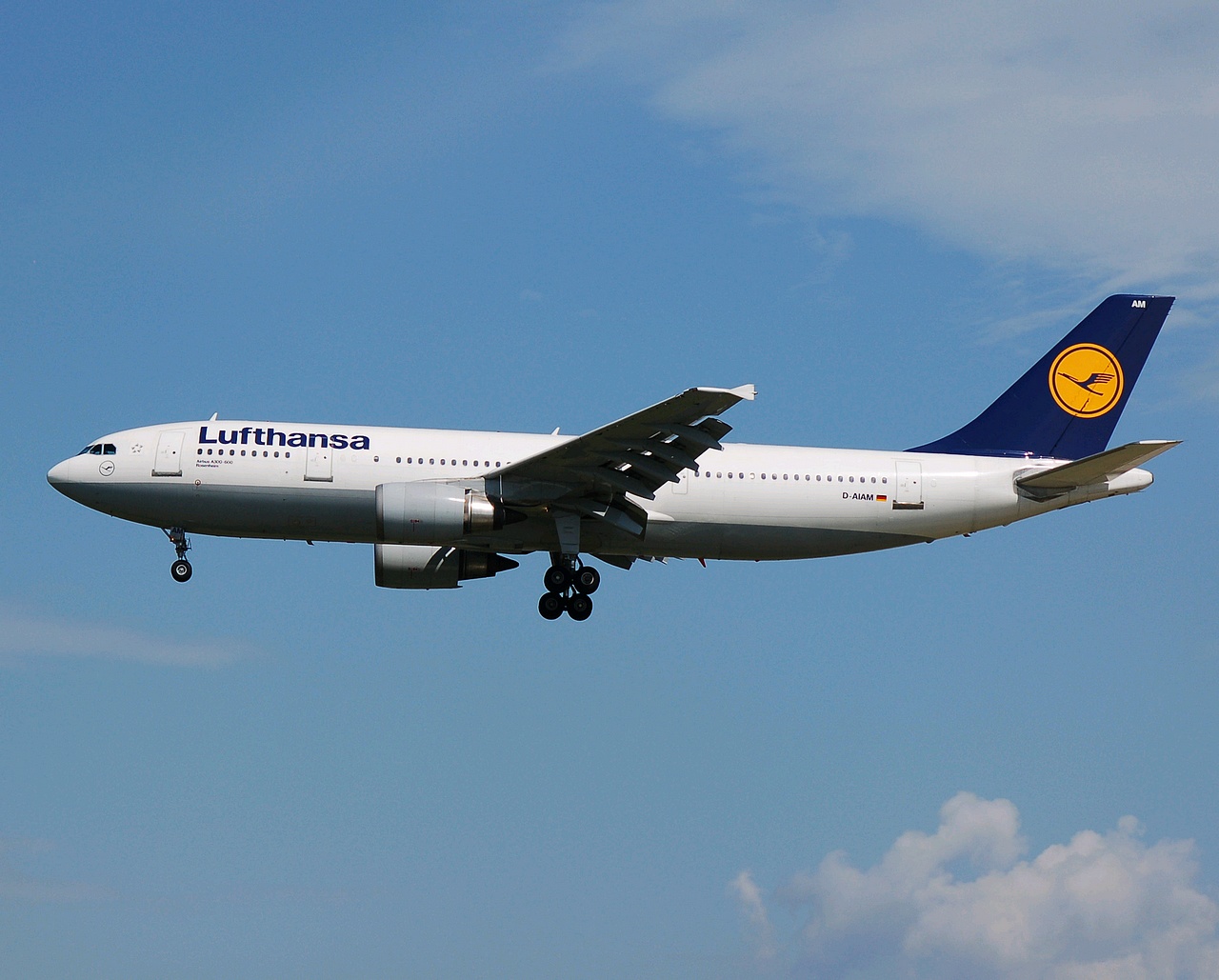 D-AIAM - A300-603 - Lufthansa - FRA - 22-05-2007