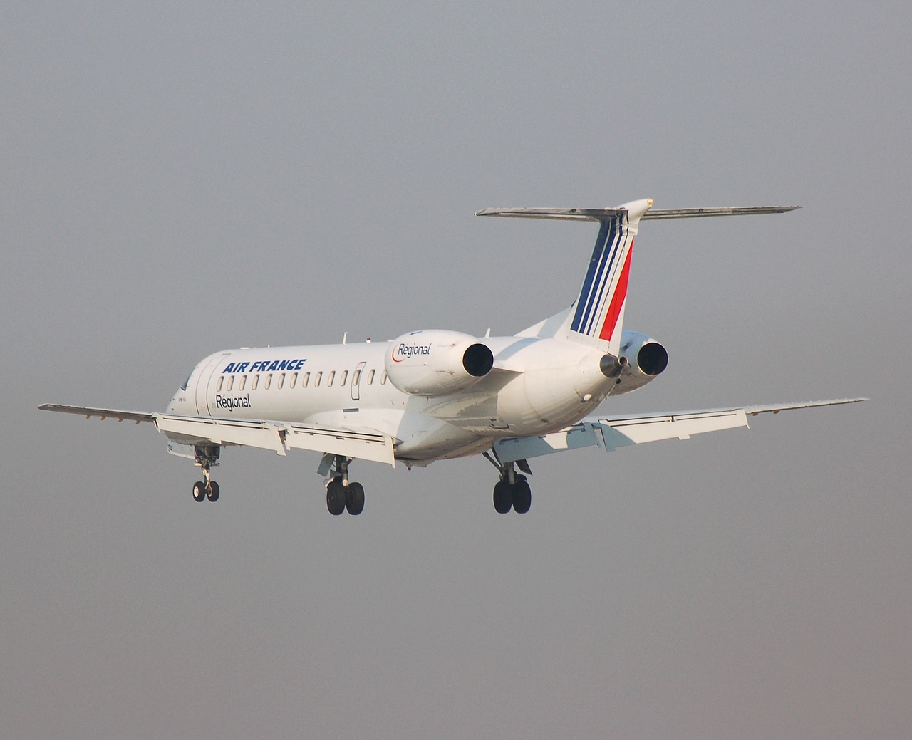 F-GRGA - ERJ-145EU - Air France - LIL - 16-04-2007