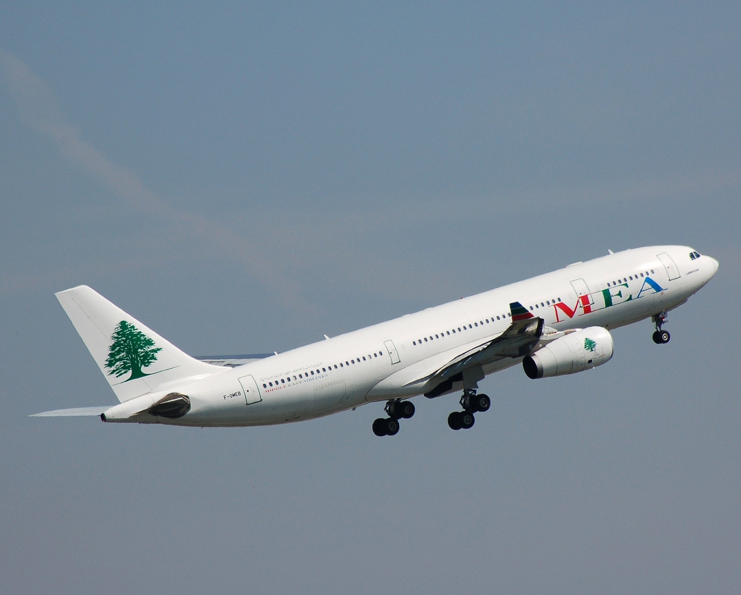 F-OMEB - A330-243 - MEA _ Middle East Airlines - CDG - 04-08-2007
