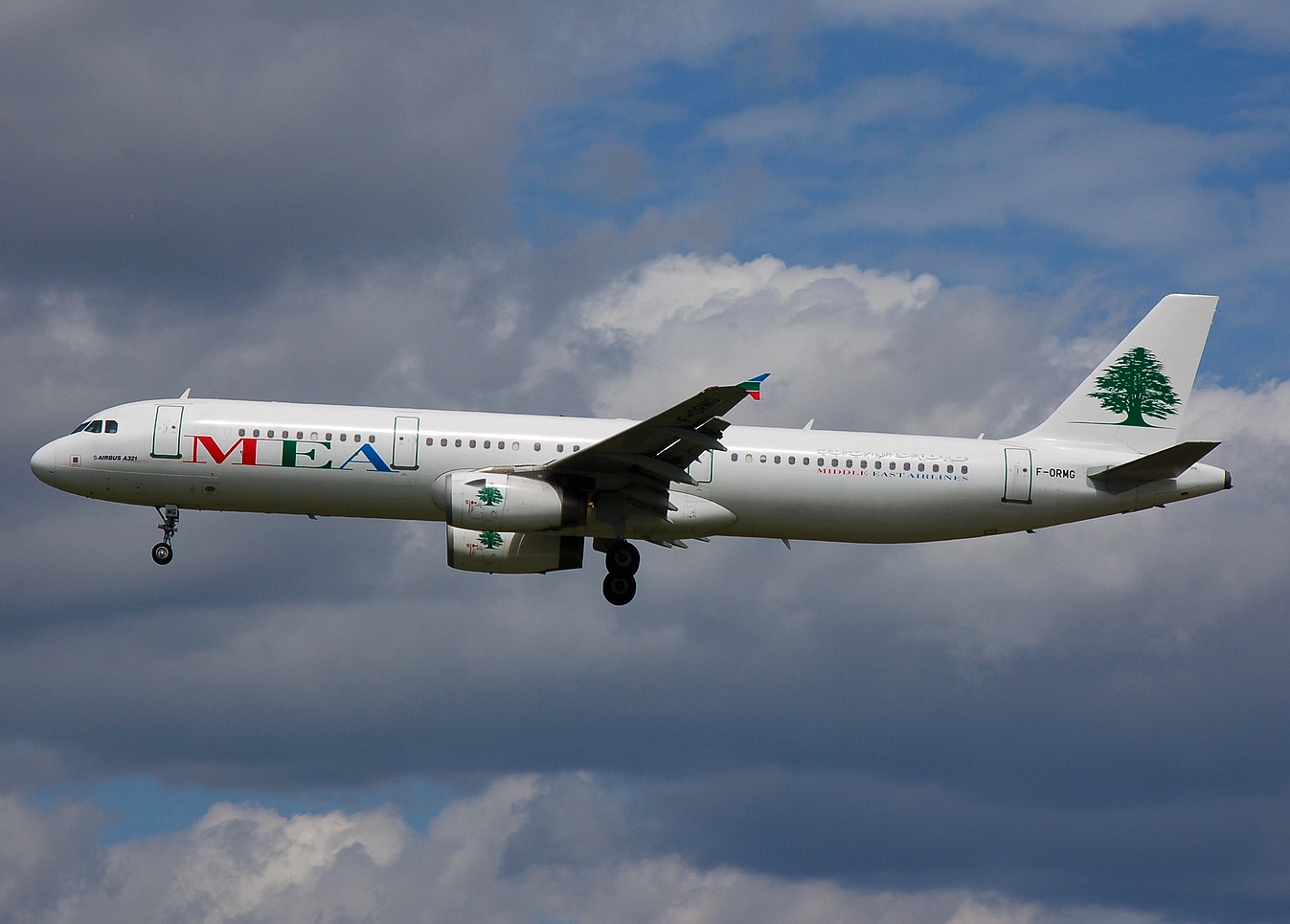 F-ORMG - A321-231 - MEA _ Middle East Airlines - FRA - 07-07-2007