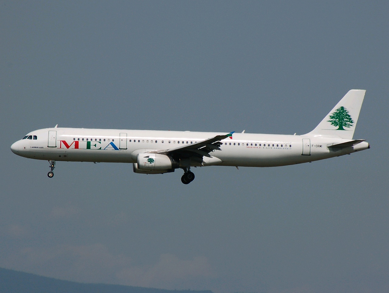 F-ORMI - A321-231 - MEA _ Middle East Airlines - FRA - 22-05-2007