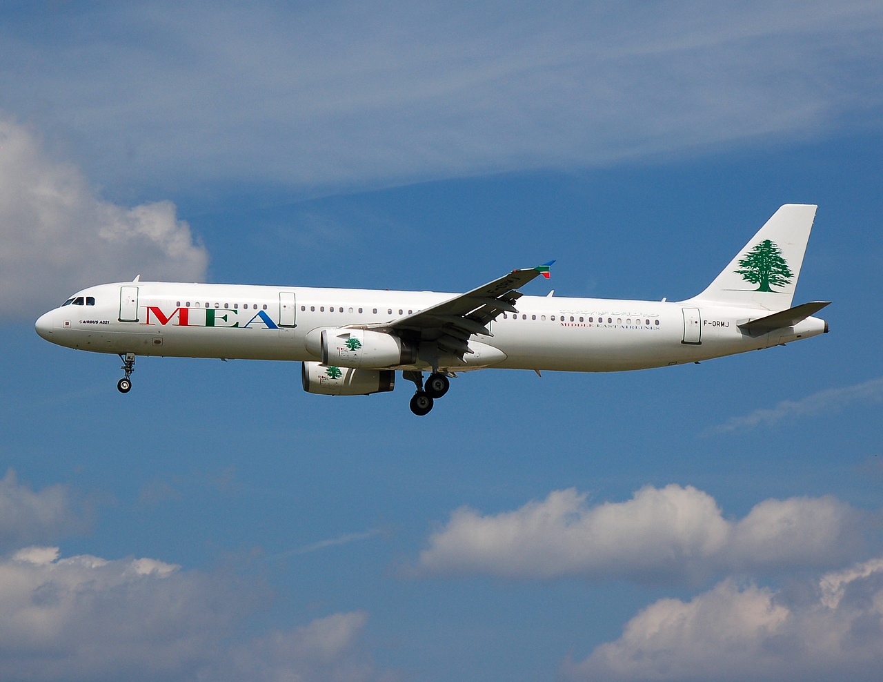 F-ORMJ - A321-231 - MEA _ Middle East Airlines - FRA - 08-07-2007