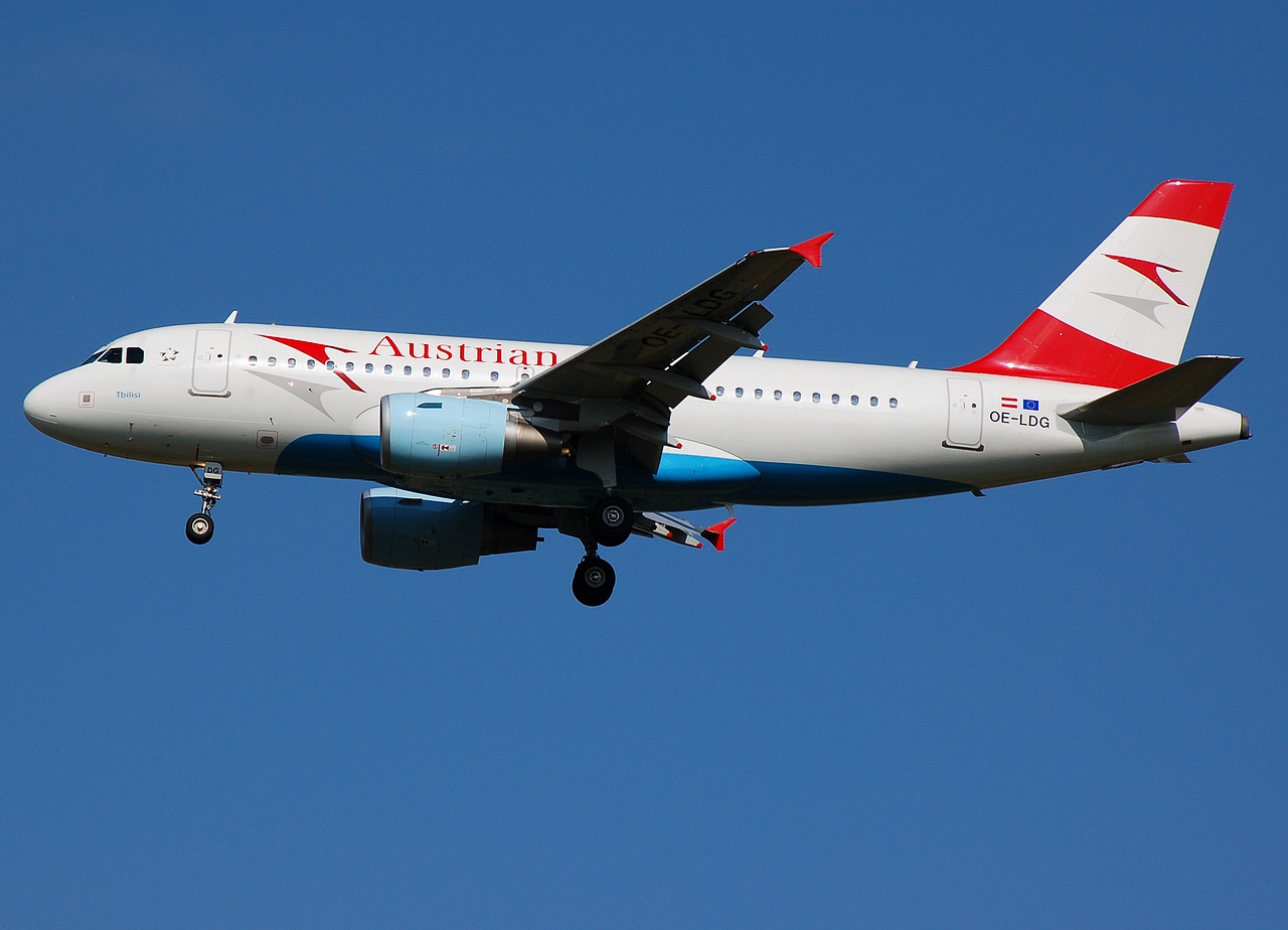 OE-LDG - A319-112 - Austrian Airlines - VIE - 10-08-2007