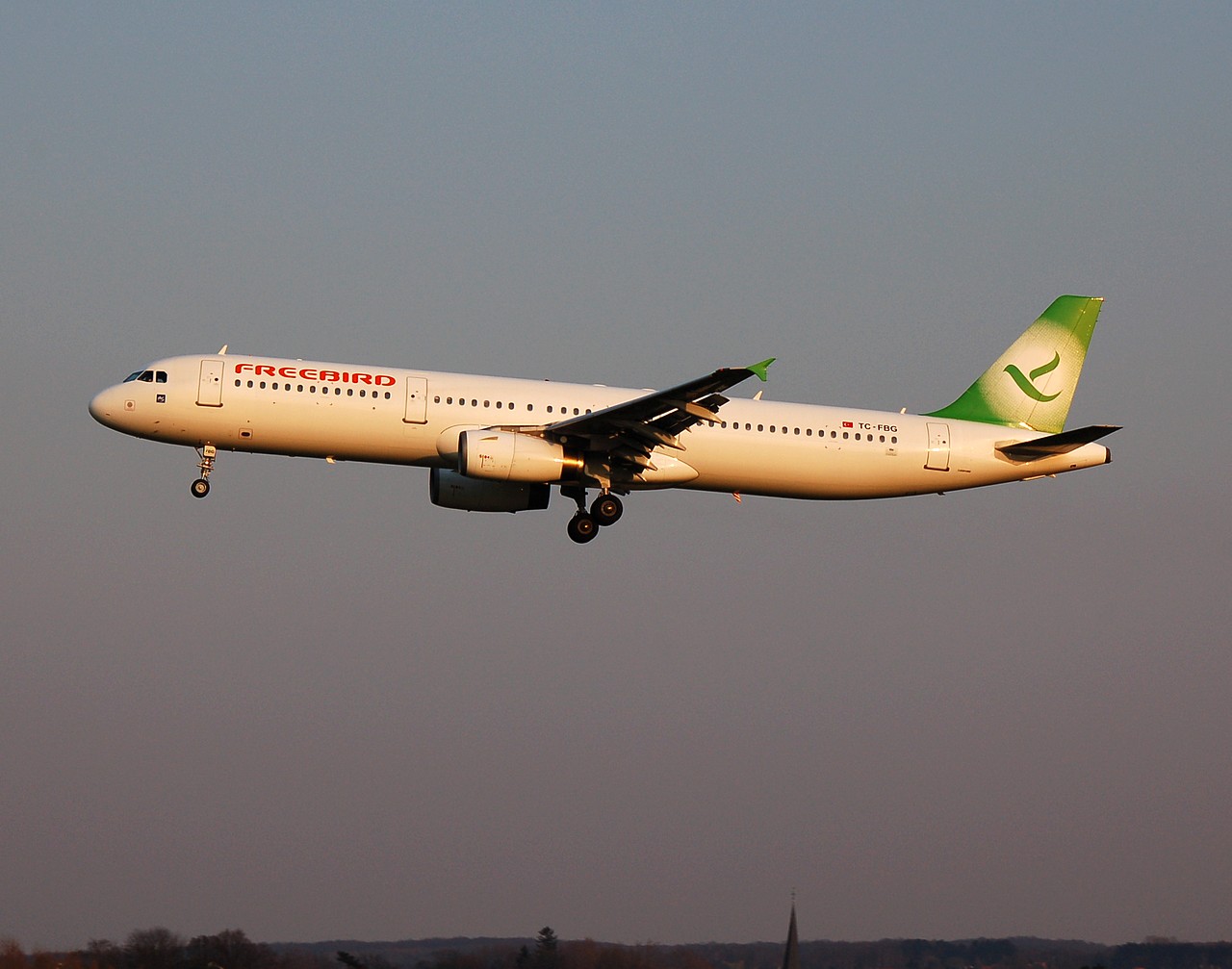 TC-FBG - A321-131 - Freebird Airlines - BRU - 27-03-2007