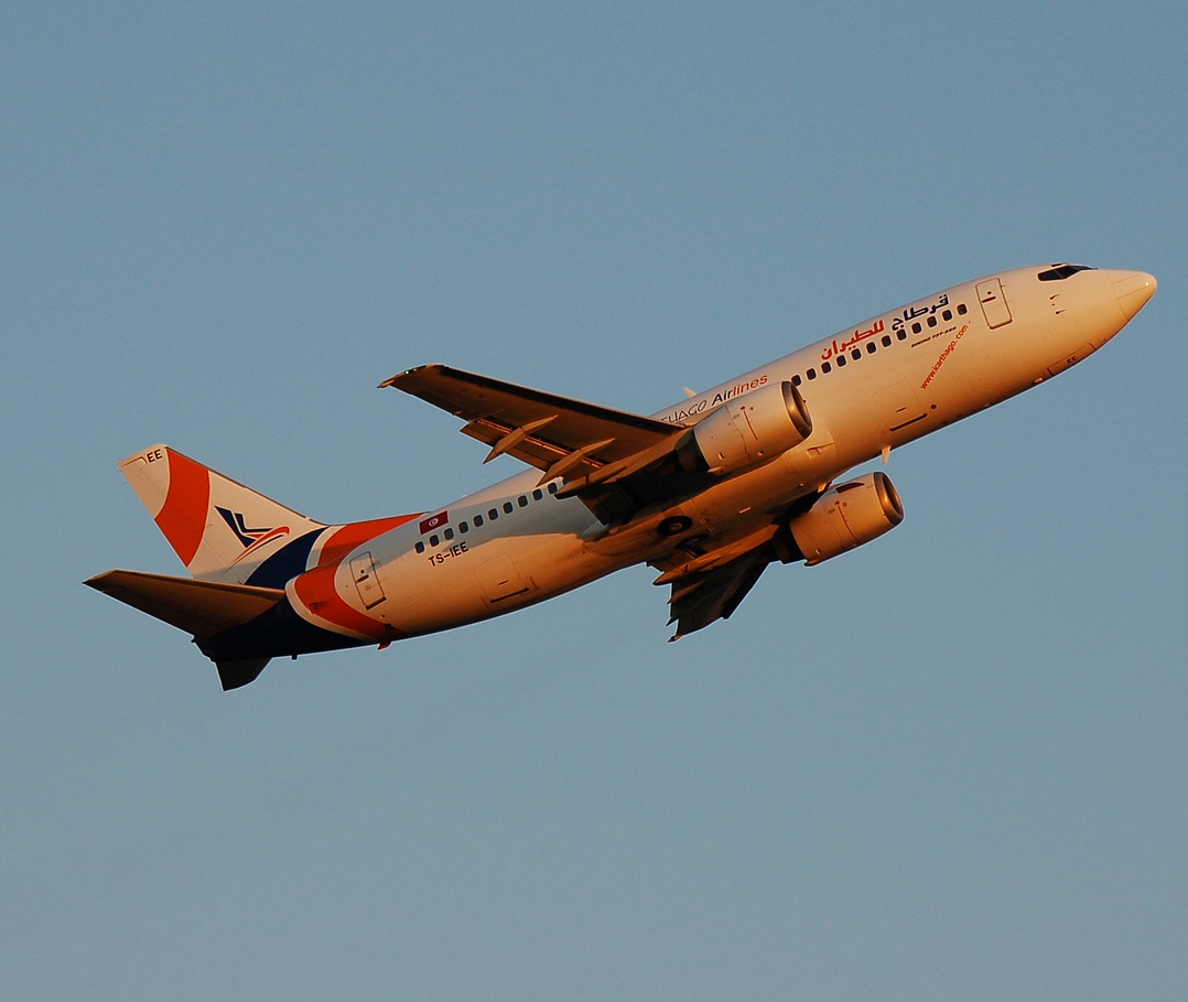 TS-IEE - 737-33A - Karthago Airlines - ORY - 09-04-2007