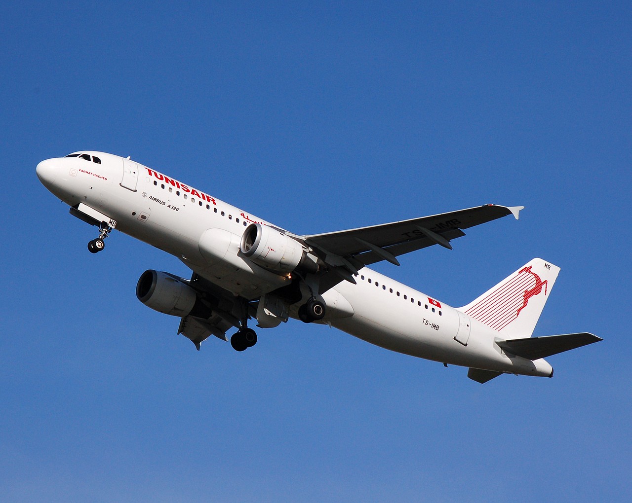 TS-IMB - A320-211 - Tunisair - AMS - 10-03-2007