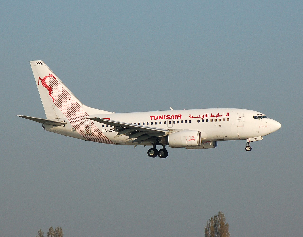 TS-IOM - 737-6H3 - Tunisair - ORY - 09-04-2007