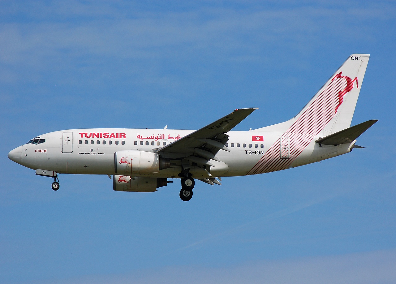 TS-ION - 737-6H3 - Tunisair - FRA - 08-07-2007