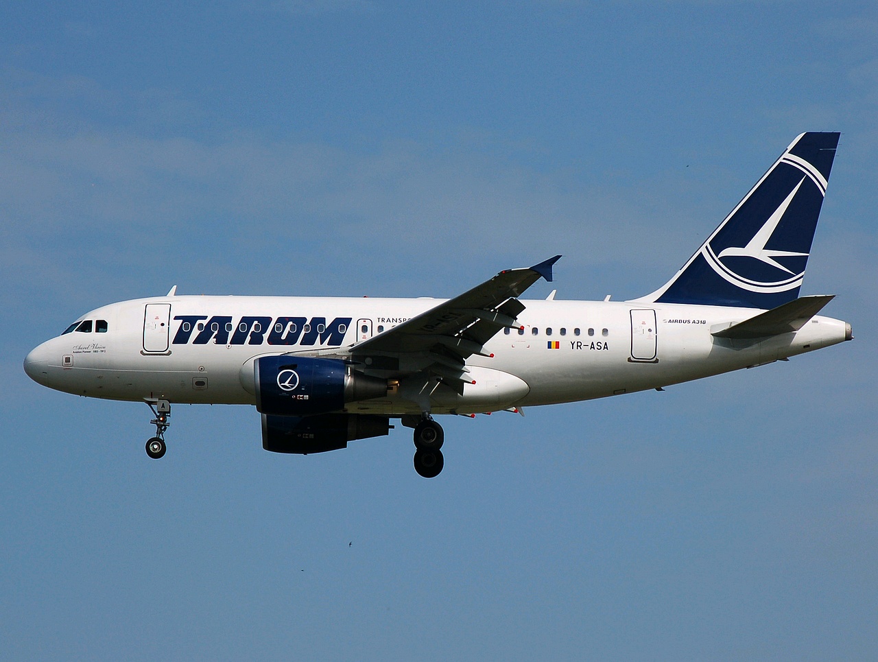 YR-ASA - A318-111 - Tarom - FRA - 22-05-2007