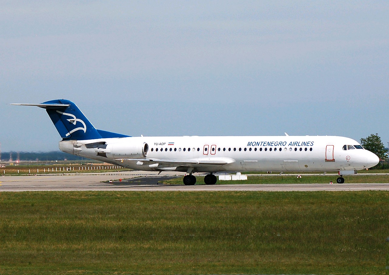 YU-AOP - Fokker 100 - Montenegro Airlines - FRA - 20-05-2007