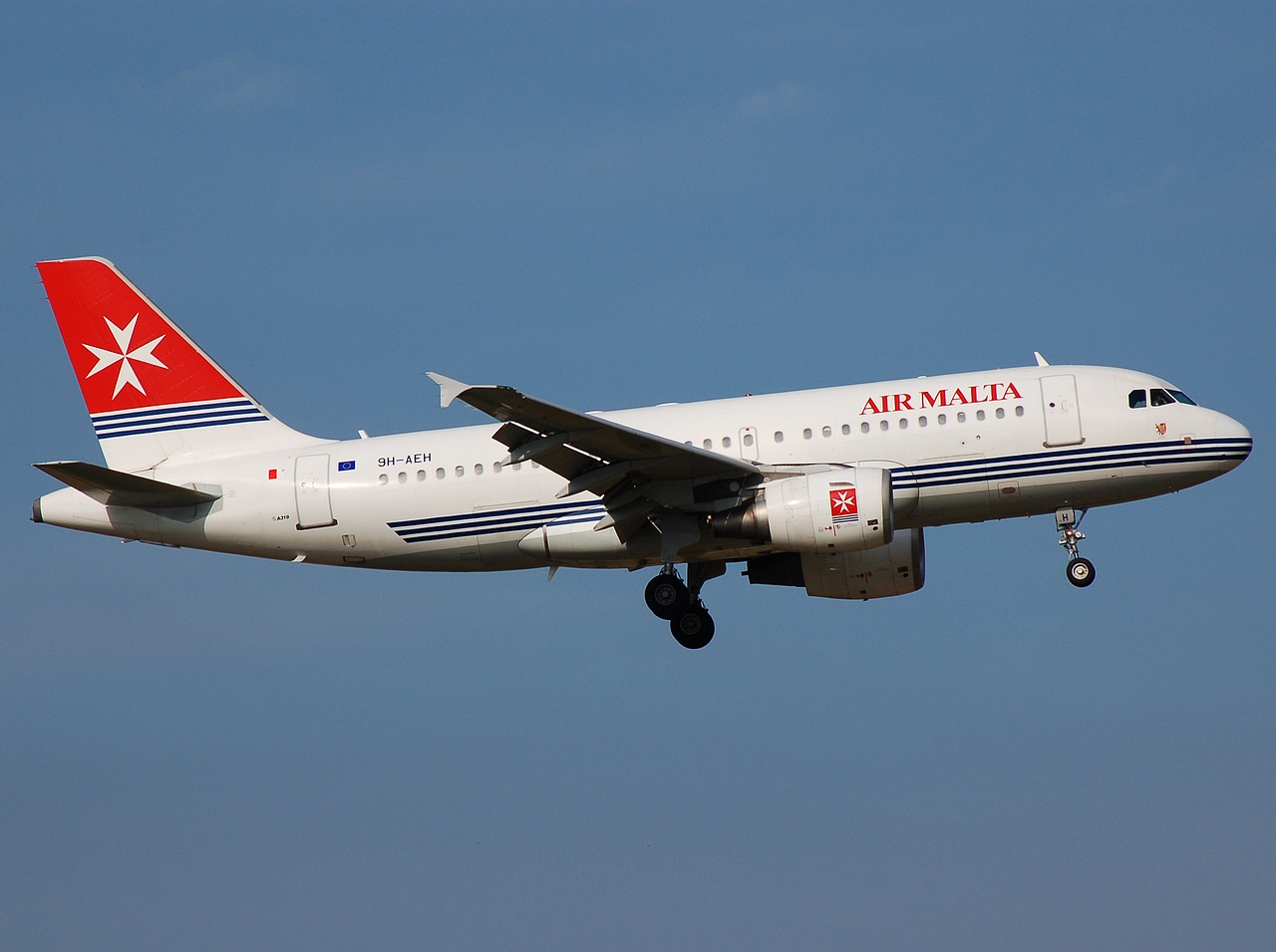 9H-AEH - A319-111 - Air Malta - FCO - 11-06-2008