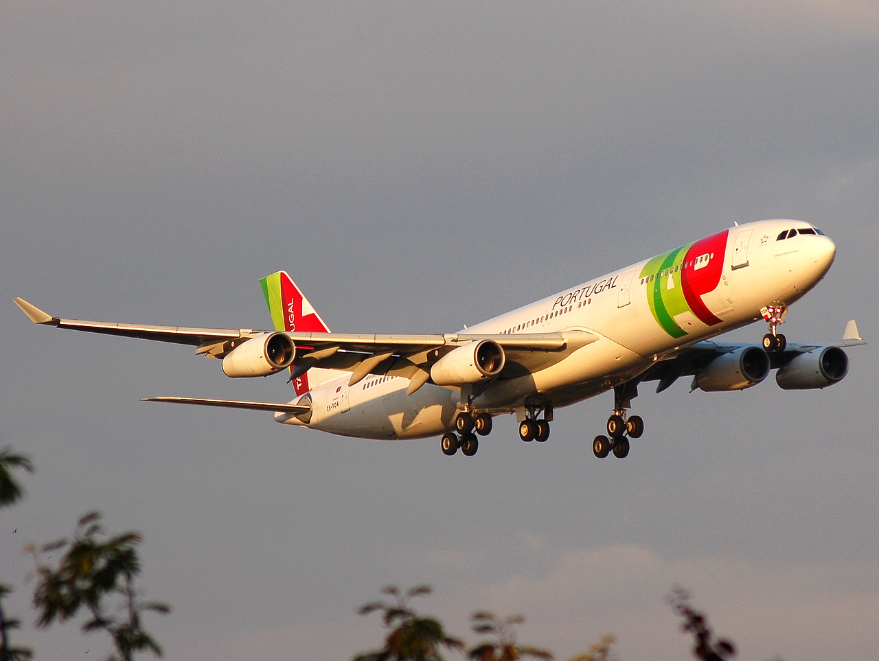 CS-TOA - A340-312 - TAP _ Air Portugal - LIS - 31-05-2008