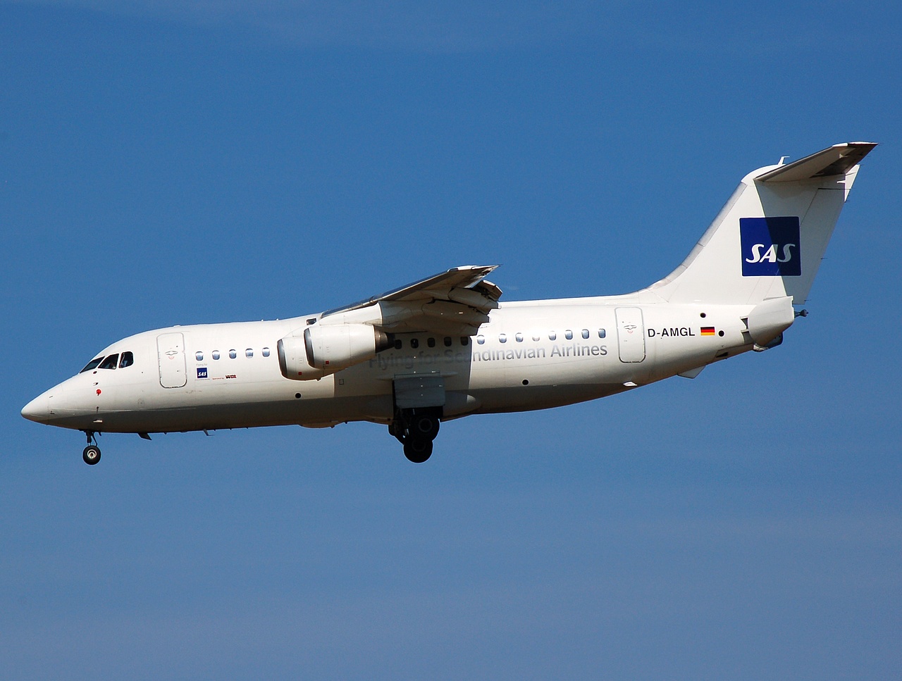 D-AMGL - BAe 146-200 - SAS Scandinavian Airlines - CPH - 18-06-2008