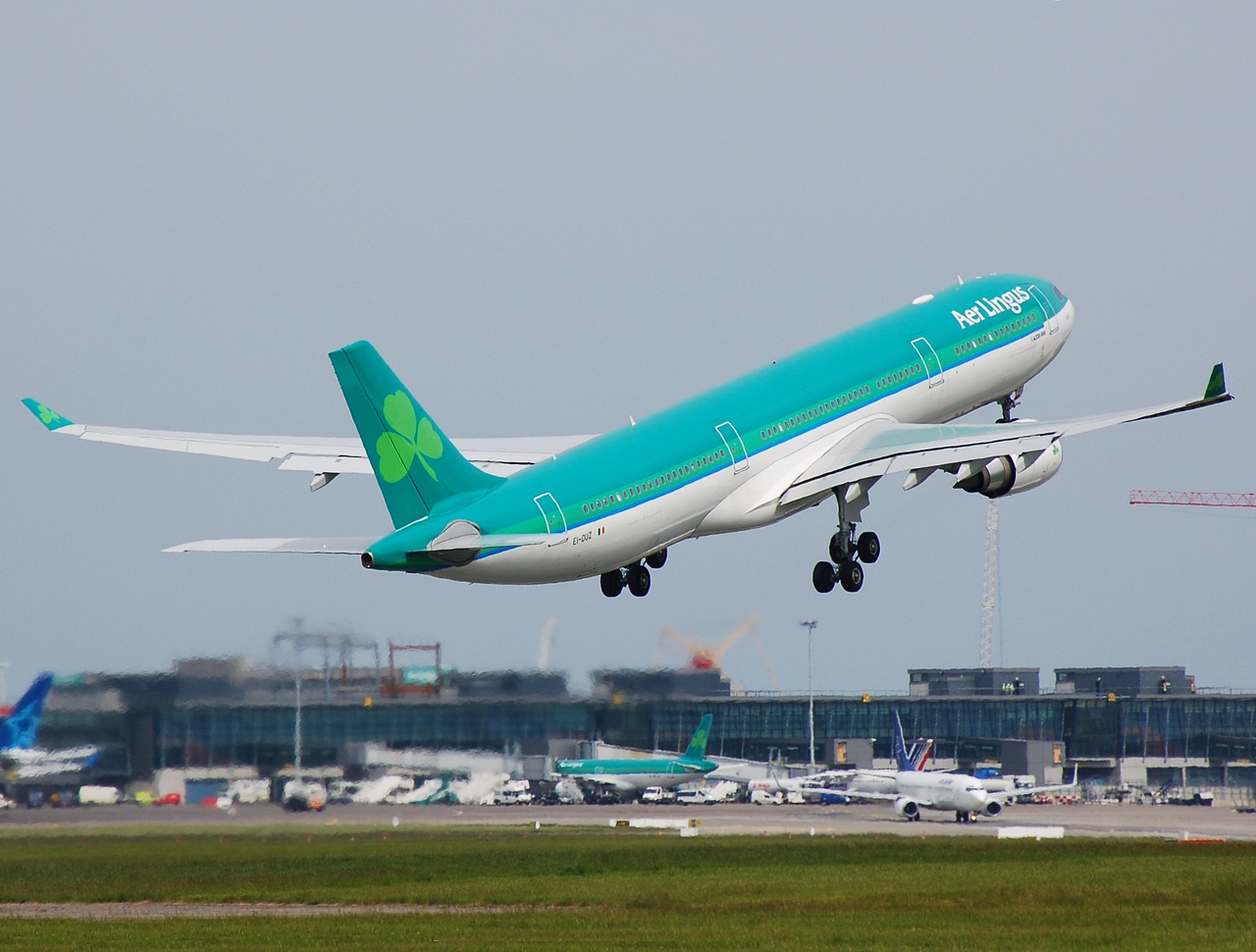 EI-DUZ - A330-302 - Aer Lingus - DUB - 21-05-2008