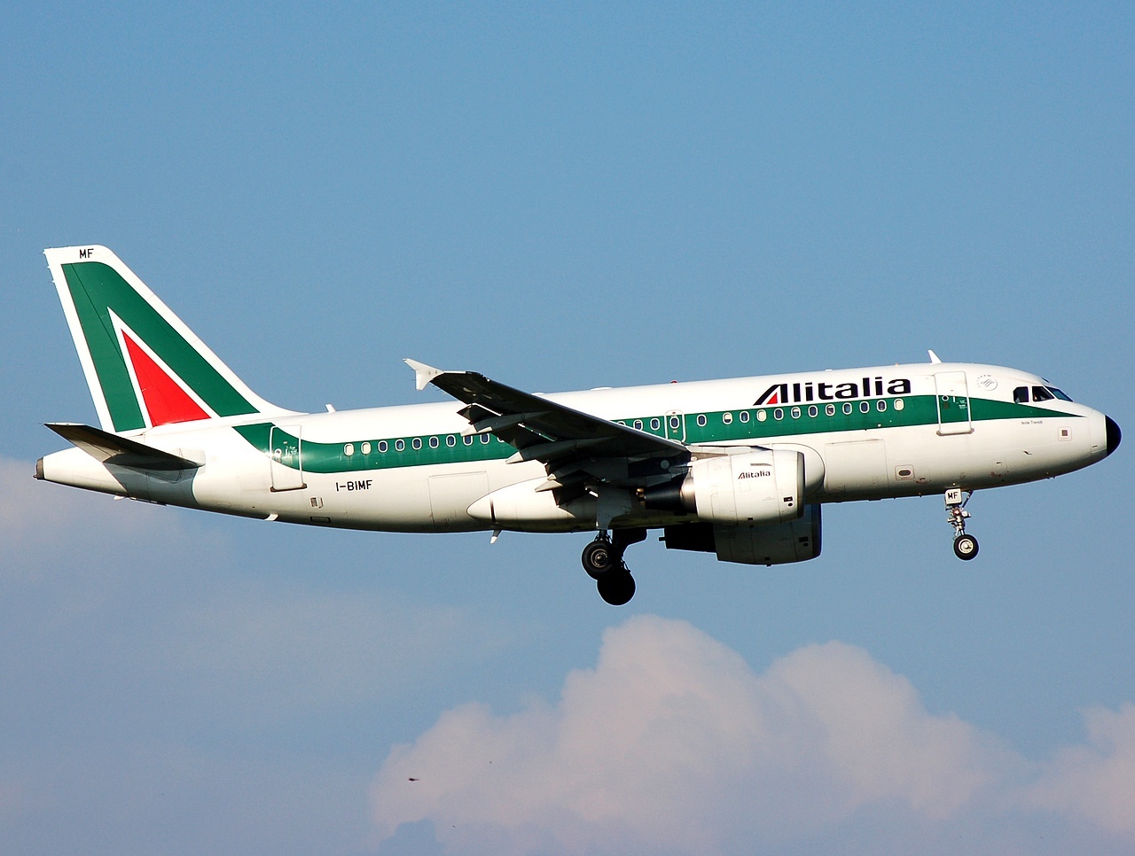 I-BIMF - A319-112 - Alitalia - FCO - 10-06-2008