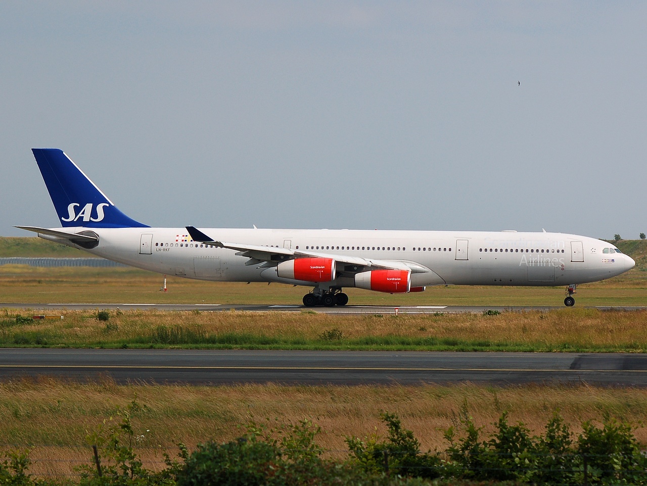 LN-RKF - A340-313 - SAS Scandinavian Airlines - CPH - 19-06-2008