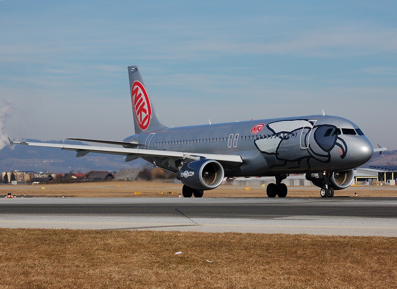 OE-LEO - A320-214 - Niki - SZG - 17-02-2008