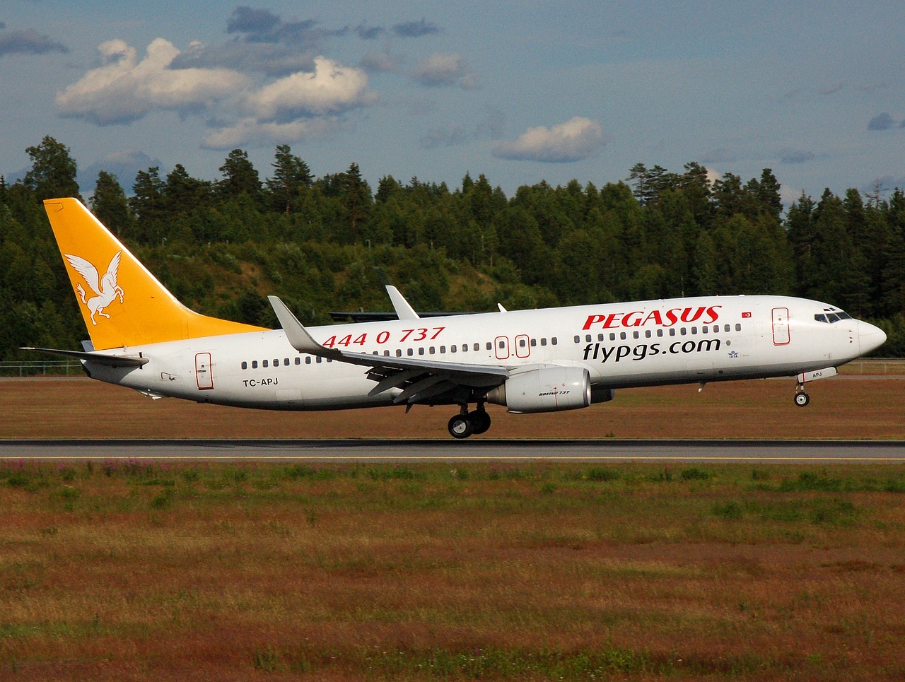 TC-APJ - 737-86N(WL) - Pegasus - OSL - 25-06-2008