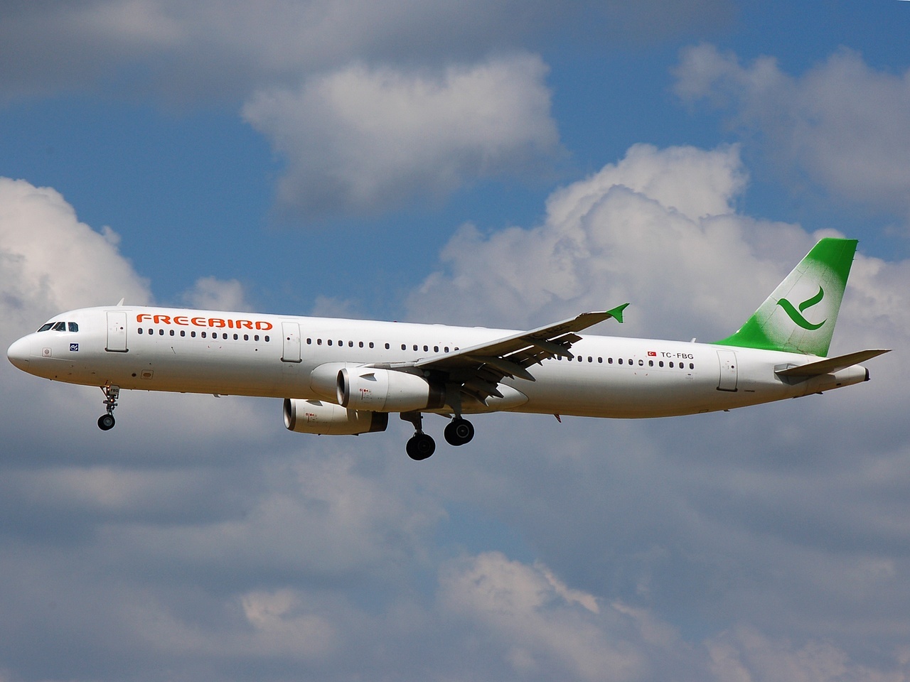TC-FBG - A321-131 - Freebird Airlines - BRU - 04-07-2008