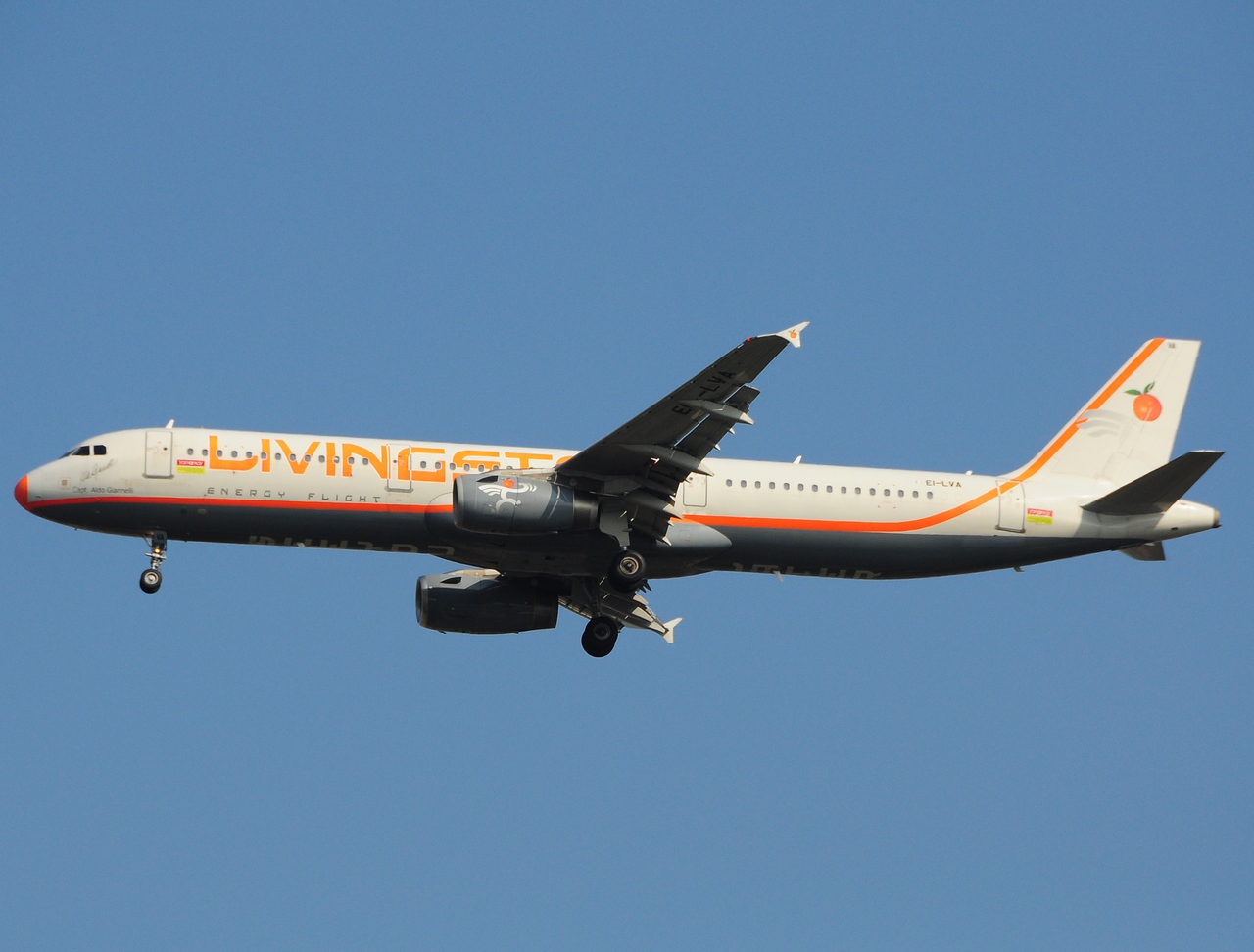 EI-LVA - A321-211 - Livingston - MXP - 23-09-2009