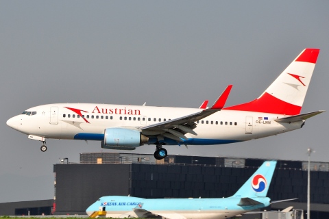 OE-LNN - 737-7Z9 - Austrian Airlines - VIE - 25-04-2009