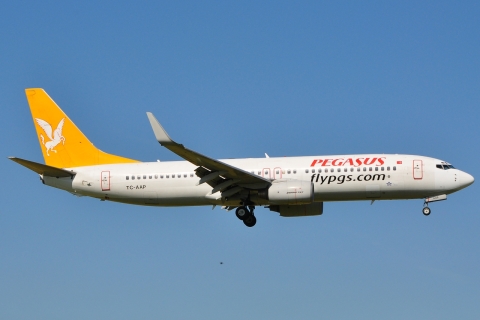 TC-AAP - 737-86N(WL) - Pegasus - AMS - 23-06-2009