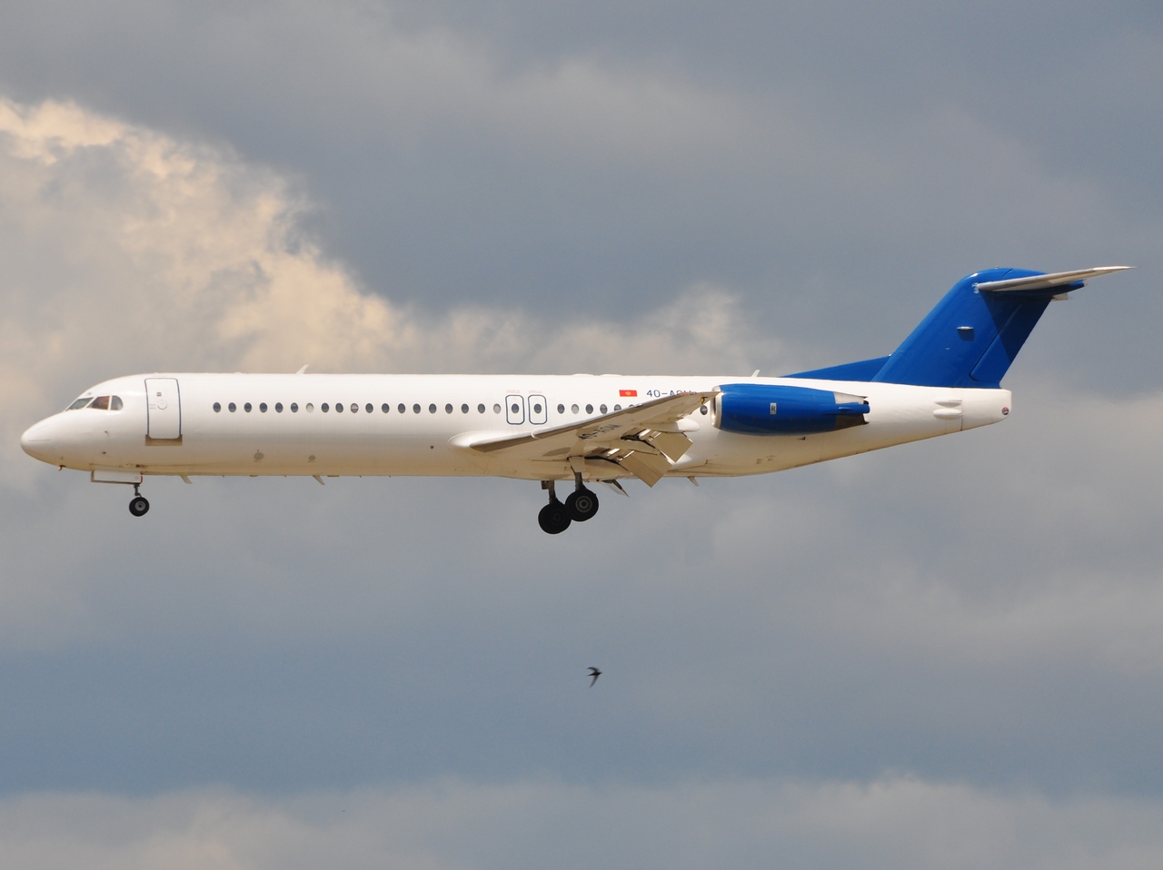 4O-AOM - Fokker 100 - Montenegro Airlines - FRA - 06-07-2010