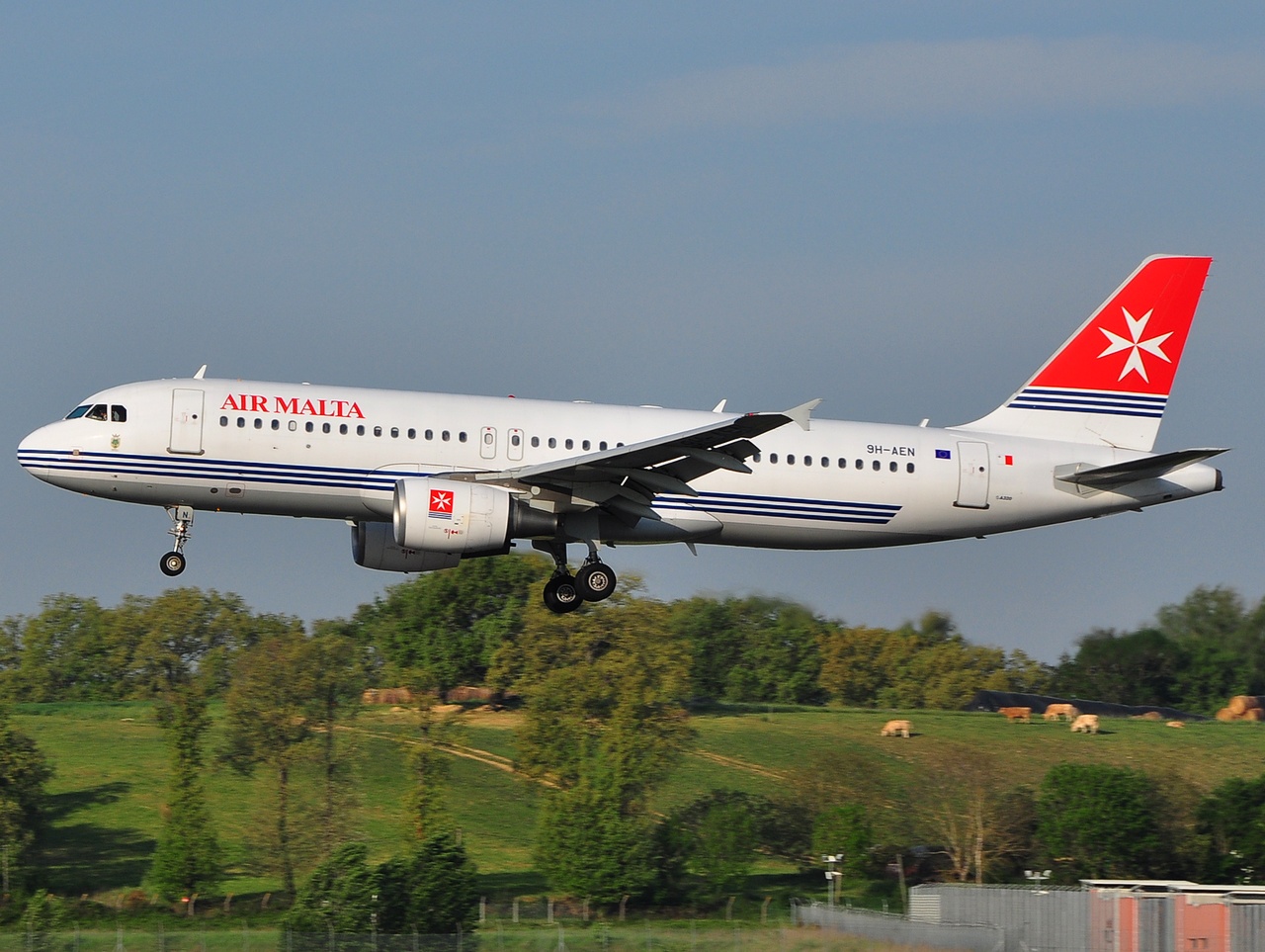 9H-AEN - A320-214 - Air Malta - TLS - 29-04-2010