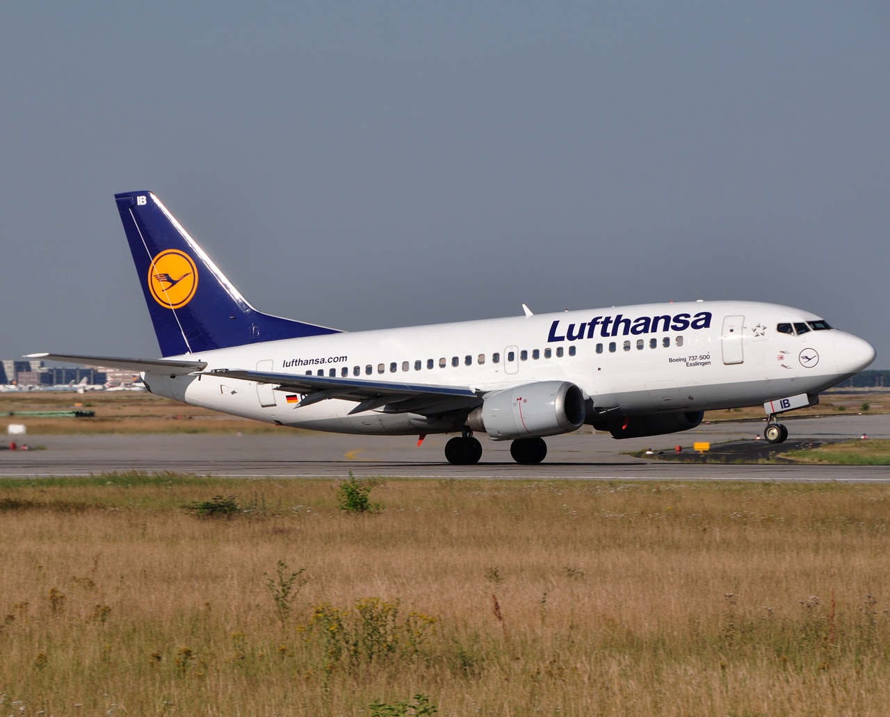 D-ADIB - 737-530 - Lufthansa - FRA - 07-07-2010