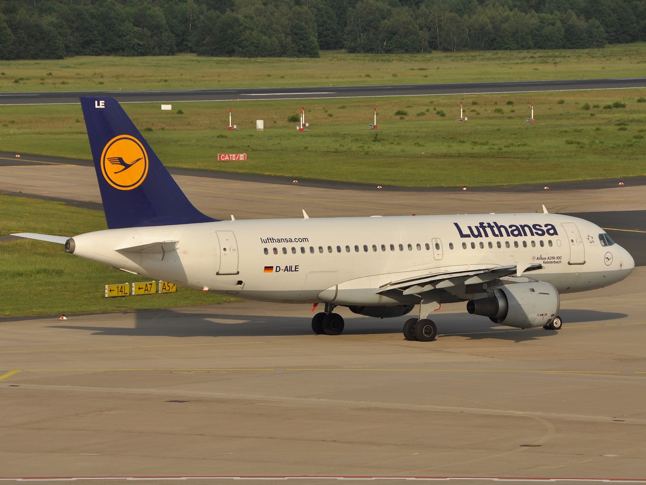 D-AILE - A319-114 - Lufthansa - CGN - 13-06-2010