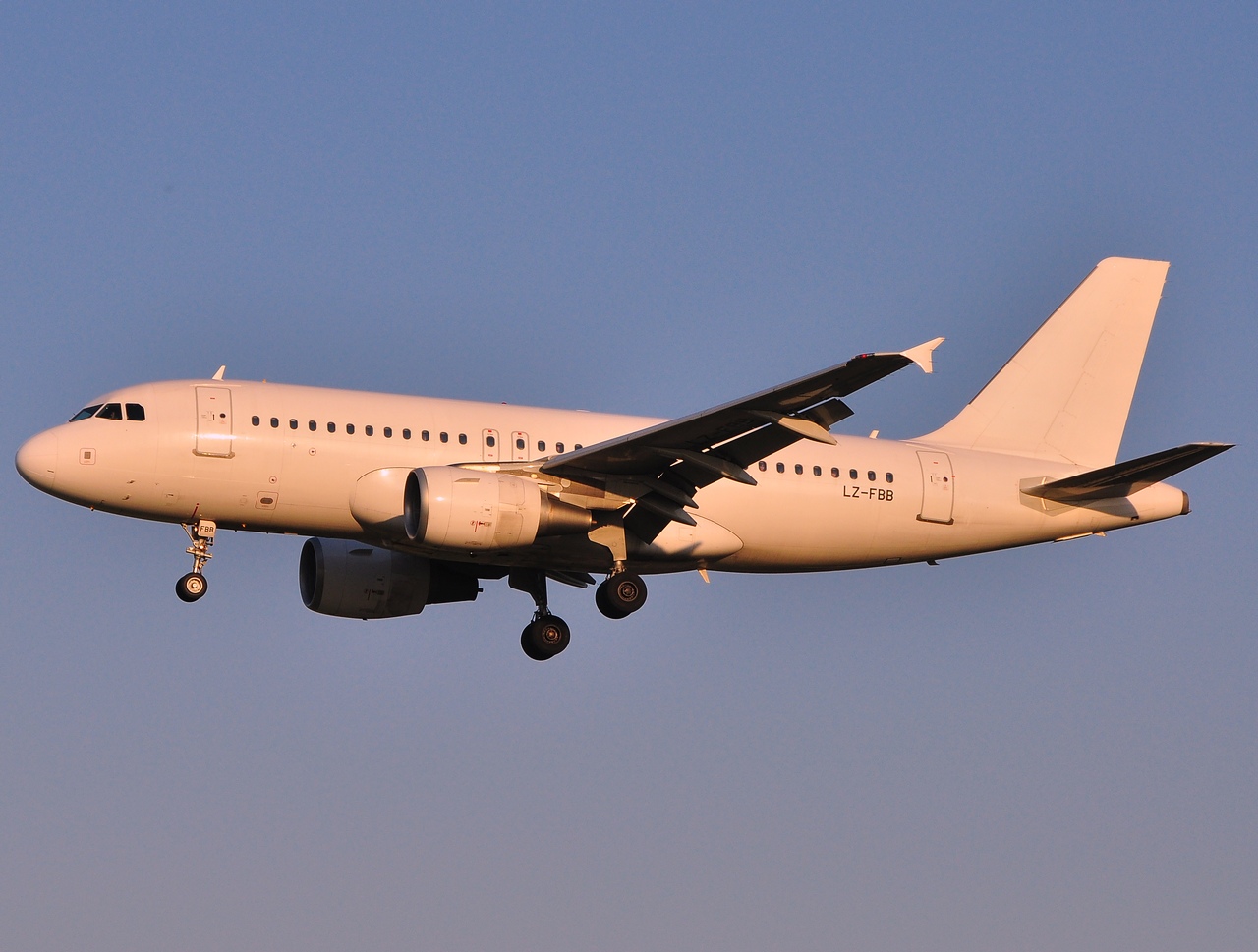 LZ-FBB - A319-112 - Bulgaria Air - BRU - 23-04-2010