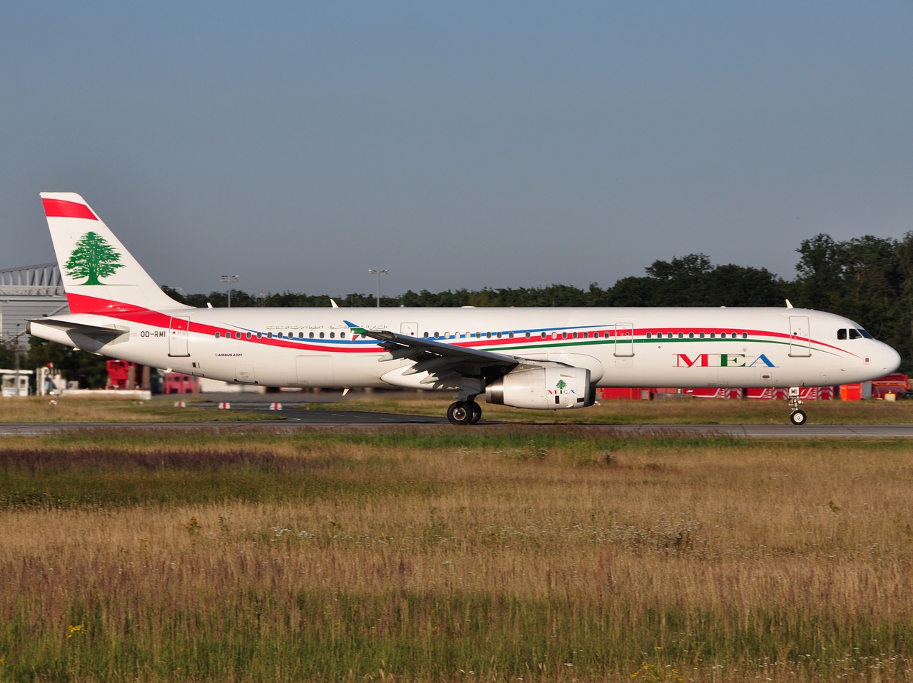 OD-RMI - A321-231 - MEA _ Middle East Airlines - FRA - 07-07-2010
