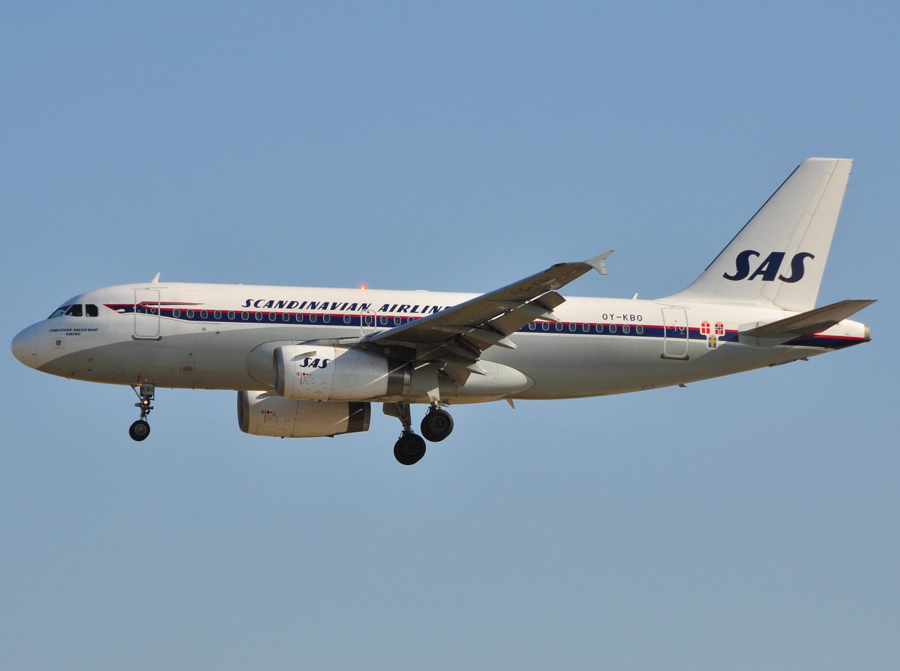 OY-KBO - A319-132 - SAS Scandinavian Airlines - FRA - 06-07-2010