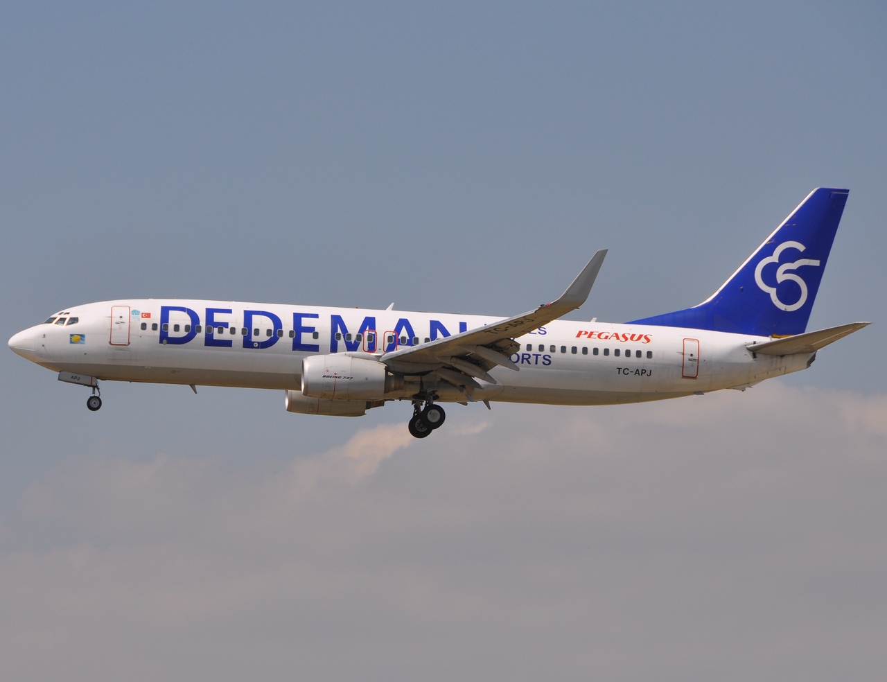 TC-APJ - 737-86N(WL) - Pegasus - FRA - 07-07-2010