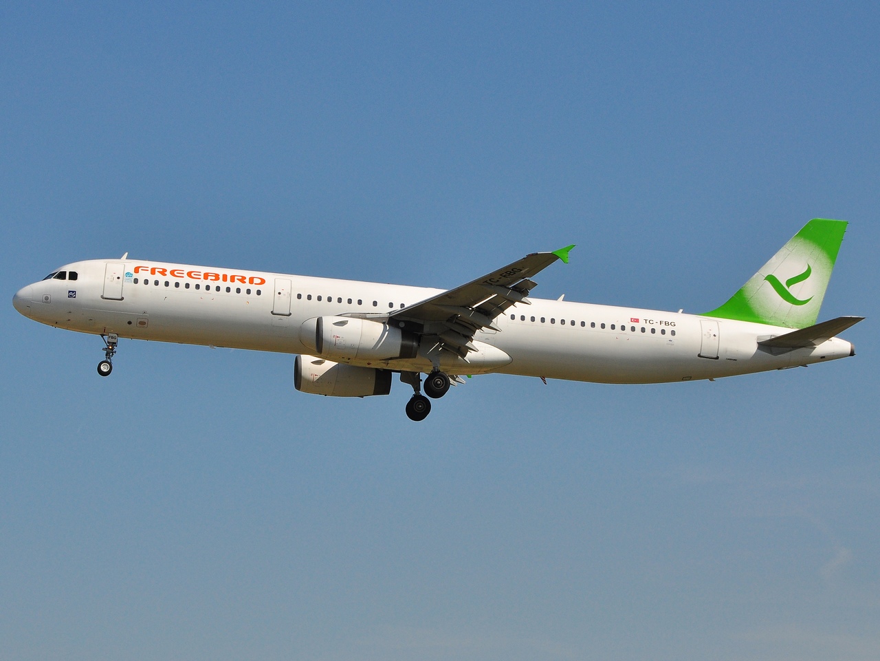 TC-FBG - A321-131 - Freebird Airlines - BRU - 23-04-2010