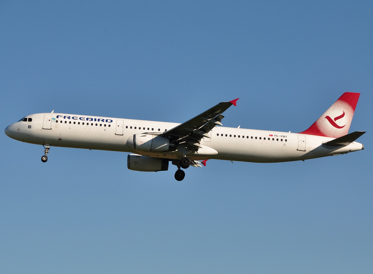 TC-FBT - A321-131 - Freebird Airlines - BRU - 10-10-2010