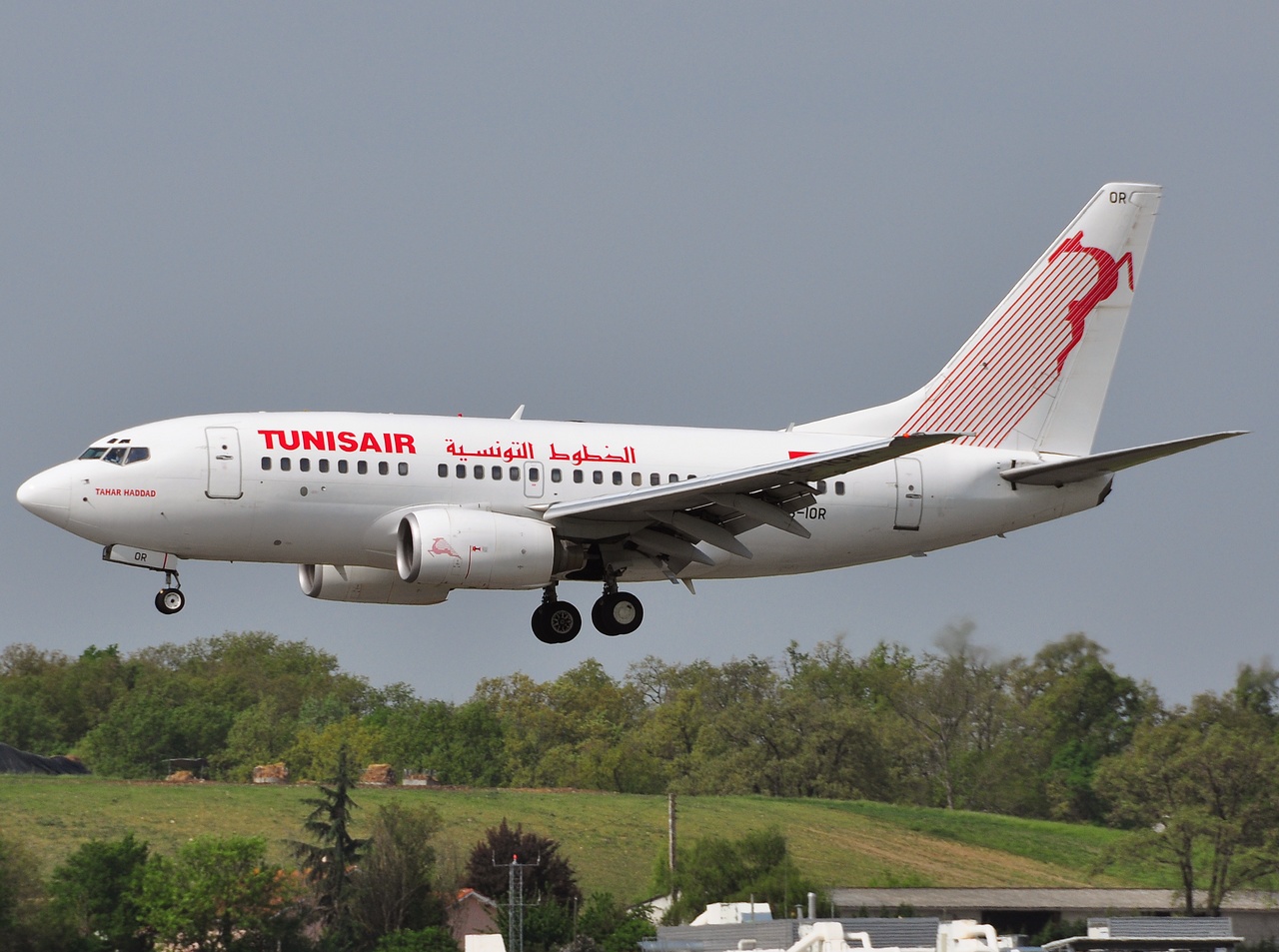 TS-IOR - 737-6H3 - Tunisair - TLS - 29-04-2010