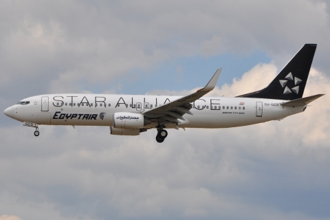 SU-GCS - 737-866(WL) - EgyptAir - FRA - 06-07-2010