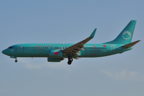 TC-SUZ - 737-8HX(WL) - SunExpress - FRA - 06-07-2010