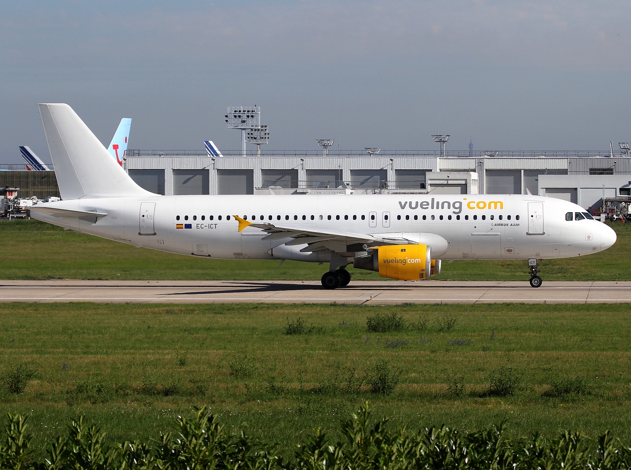 EC-ICT - A320-211 - Vueling - ORY - 26-06-2011