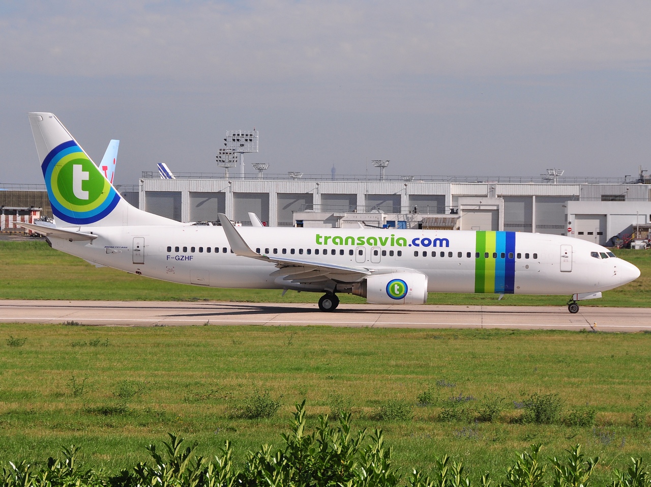 F-GZHF - 737-8HX(WL) - Transavia France - ORY - 26-06-2011