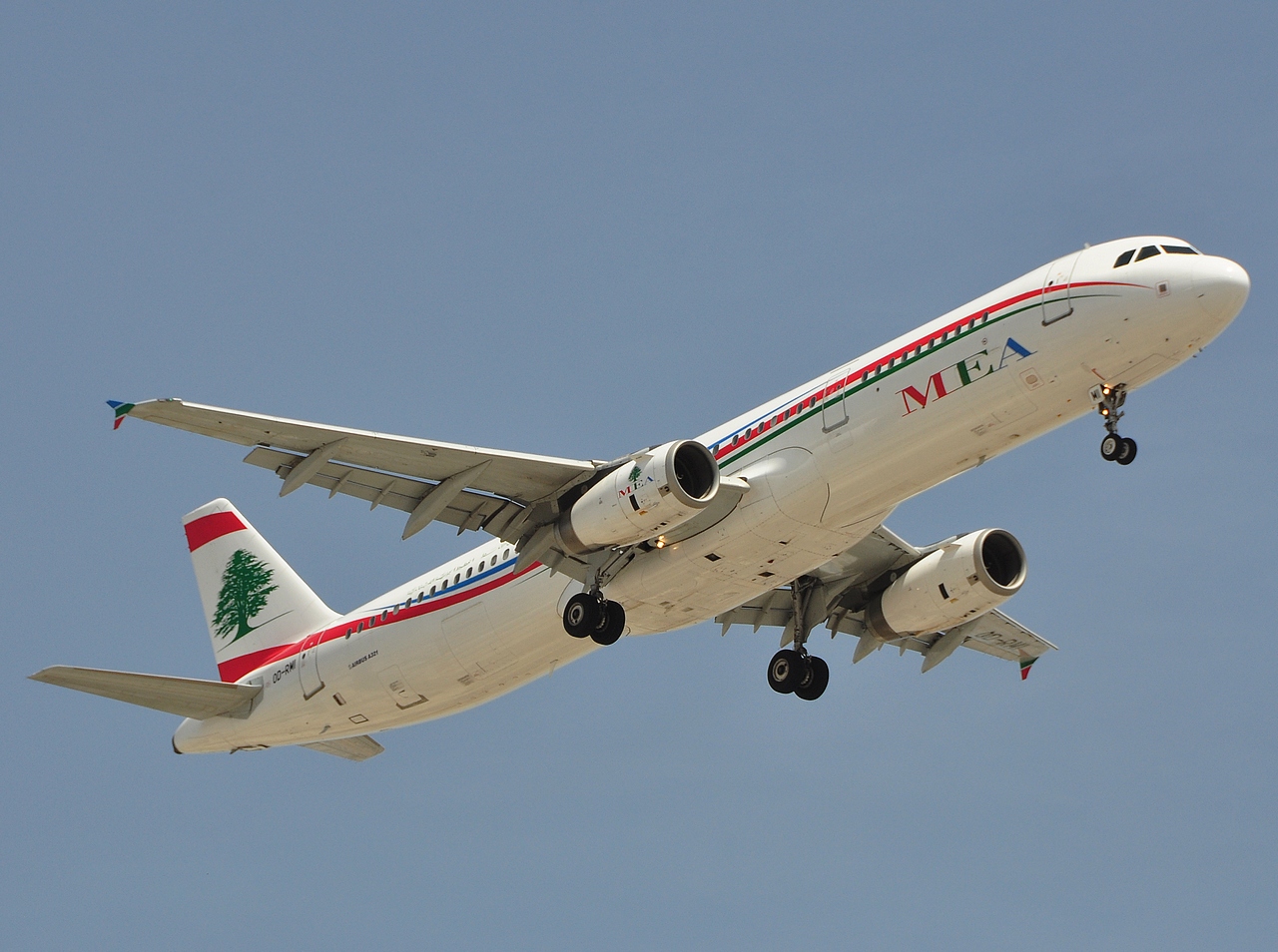 OD-RMI - A321-231 - MEA _ Middle East Airlines - DXB - 07-04-2011