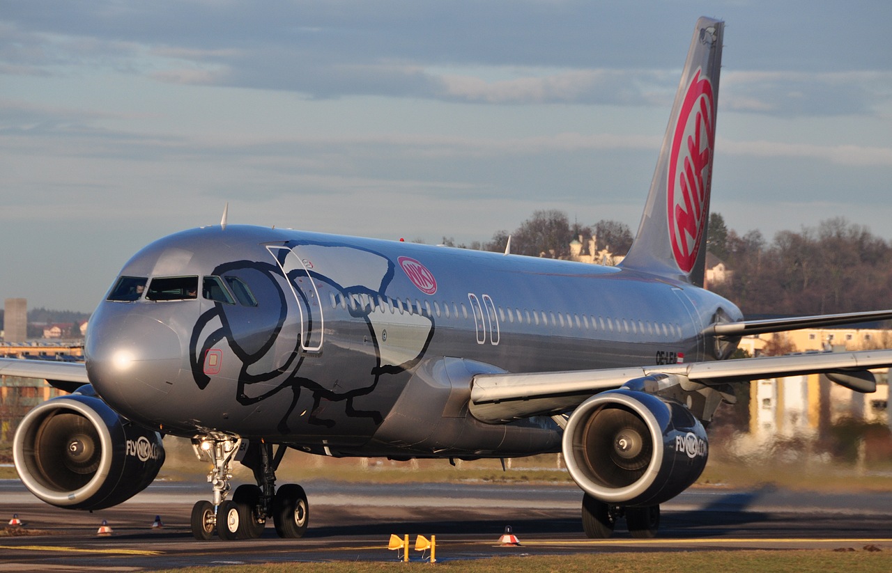 OE-LEA - A320-214 - Niki - SZG - 08-01-2011b