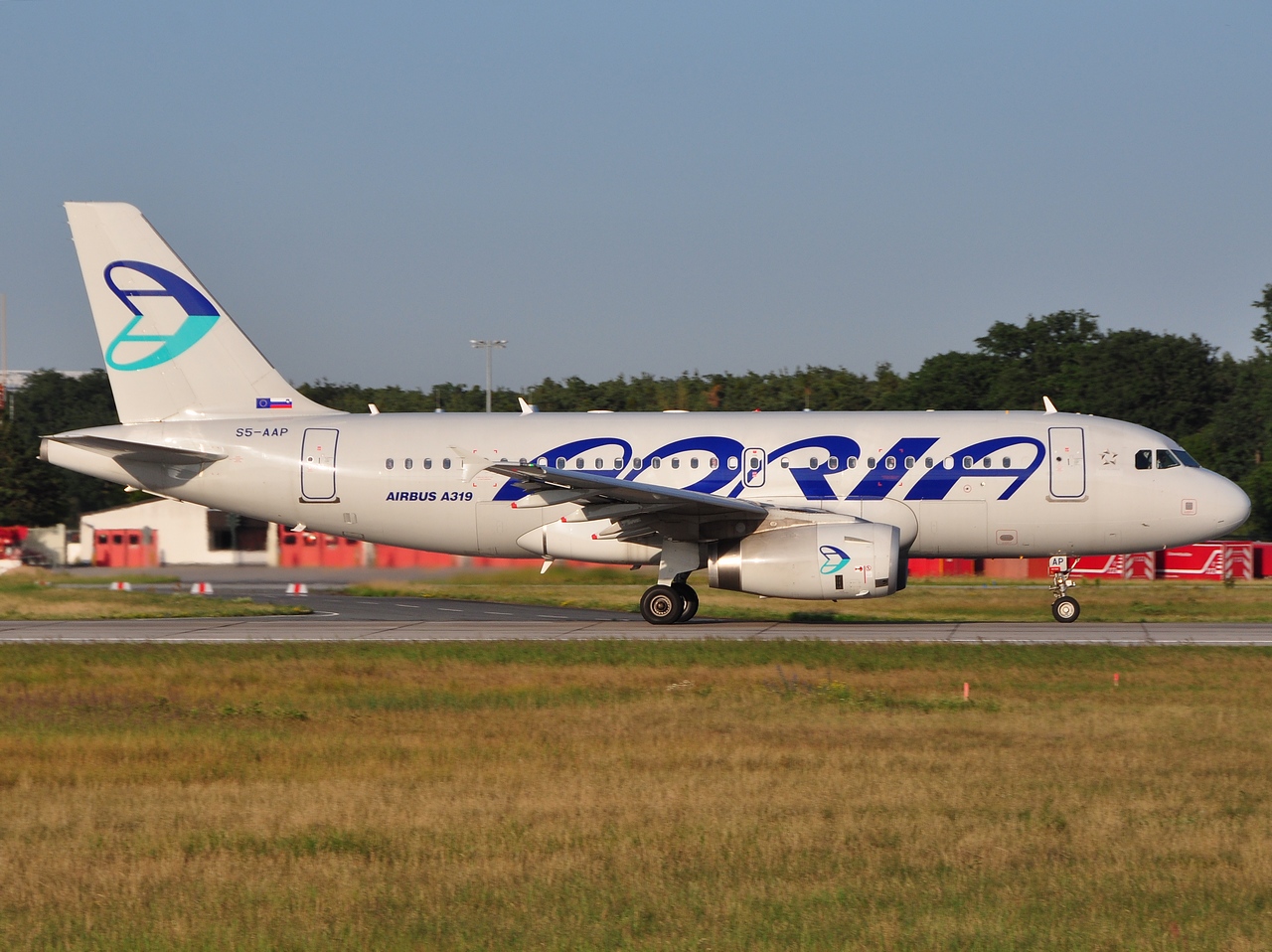 S5-AAP - A319-132 - Adria Airways - FRA - 27-06-2011