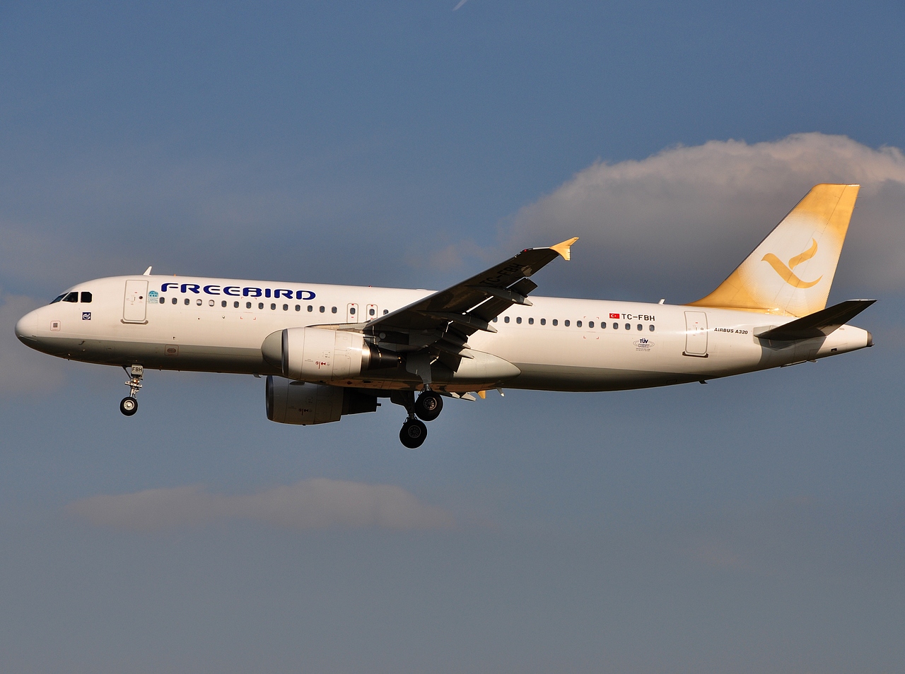 TC-FBH - A320-214 - Freebird Airlines - BRU - 04-05-2011